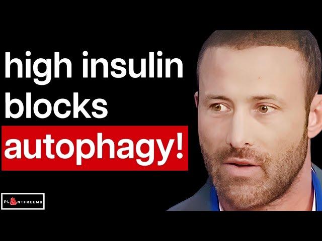  You DON'T NEED To Fast For AUTOPHAGY!