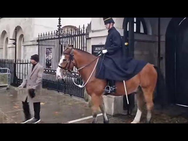 Kings guard moves his horse to make tourist get out of the box #kingstroop