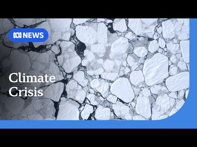 Antarctic researchers warn of possible 'catastrophic' sea level rise | ABC News