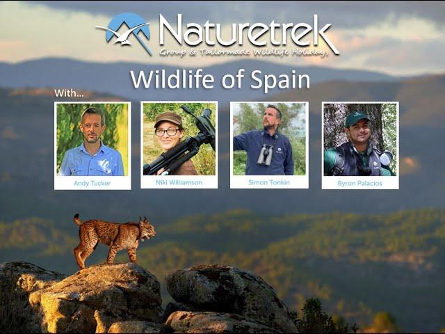 Naturetrek Roadshow: Coto Doñana & the Realm of the Iberian Lynx