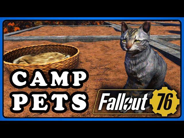 Fallout 76 PTS: Camp Pets All Details Revealed.