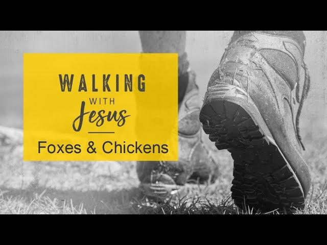 Walking with Jesus: Foxes and Chickens - Pastor Mandy Sayers