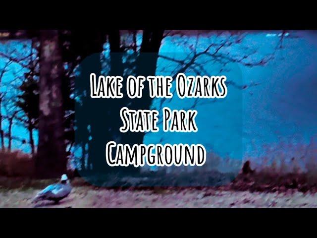 Wake up to breathtaking lake views at Lake of the Ozarks campground! #travel #camping #nature