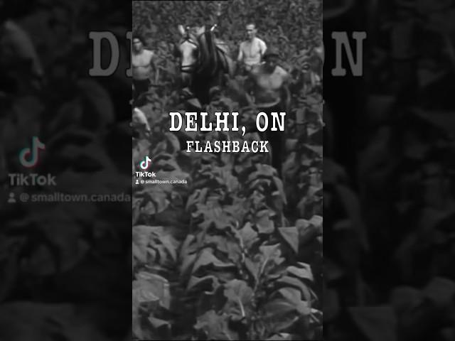 Flashback to Delhi, Ontario!