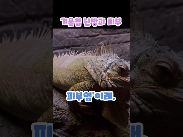“겨울철 난방 틀었다가 피부 박살났습니다”#건강#건강채널#썰채널#건강정보#유튜브쇼츠#분건강#병원#건강상식#건강이야기