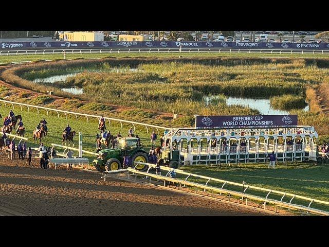 An Honest Day Punting - Del Mar - Part 1 