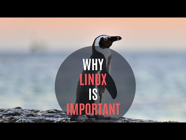 How important is Linux? Everything you need to know about it