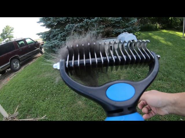 Pat Your Pet Dematting Rake#pets,#new,#animalcare,#petcare, #dogs,#cats,#grooming,#viral,#viralvideo