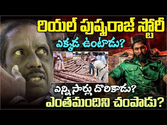 పుష్పరాజ్ రియల్ స్టోరీ - ఎక్కడ ఉన్నాడు - ఎంతమందిని చంపాడు| Pusha raj Real Story | #vov | Mr N