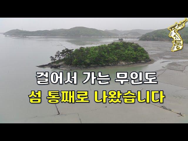 드디어 나왔습니다~걸어서 들어가는 무인도 섬 통째로 싸게 나왔습니다.[땅지통]