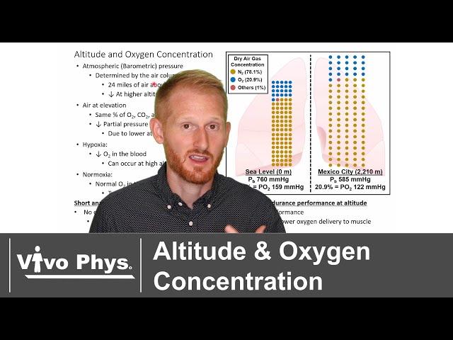 Effect of Altitude on Atmospheric Pressure and Oxygen Partial Pressure