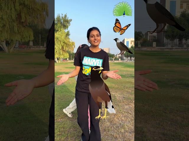 Memory Game More Tota Maina koyal #shorts #short