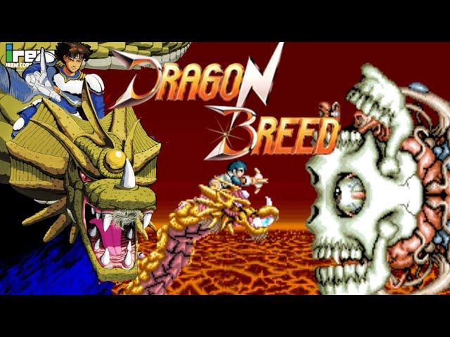 Arcade 神龍太子(龍種) 一輪一道通關 / Dragon Breed 1LOOP 1CC