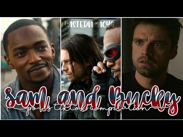 Sam, Bucky and you are a chaotic trio || y/n povs TikTok compilation