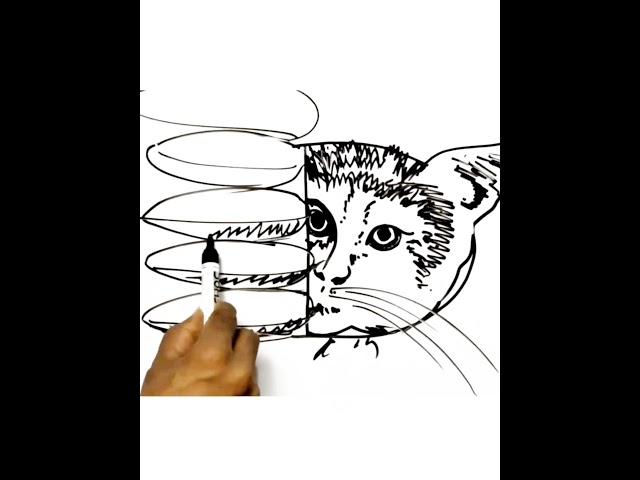 #D drawings