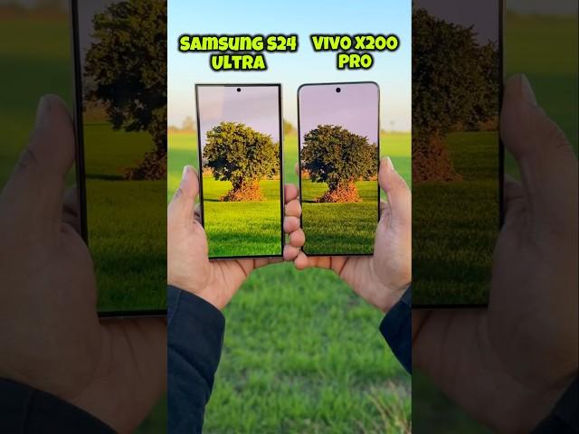 Vivo X200 Pro vs Samsung S24 Ultra 10x Zoom Test #vivox200pro #s24ultra #shorts