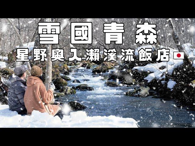 雪國青森！開箱星野集團奧入瀨溪流飯店 ｜私人導覽十和田國家公園｜超夢幻雪中咖啡時光 ️