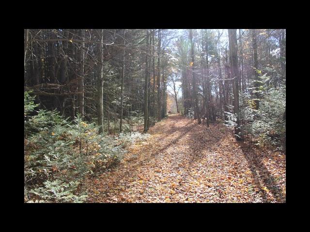 Michigan Realtree Hunting Property For Sale Private Lake 760-Acres South Branch, MI