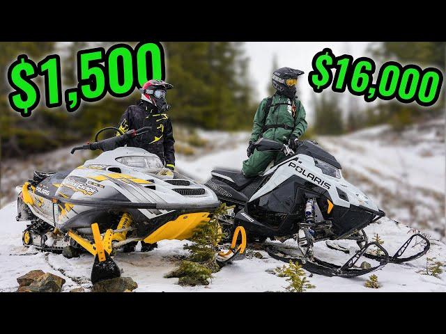 CHEAP vs EXPENSIVE Snowmobile in the Backcountry!!