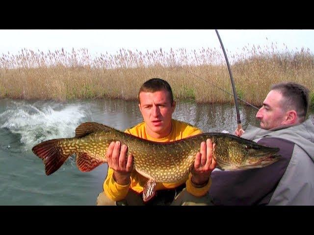 Jezero Joca - Pecanje štuke | Varaličarenje | Fishing big pike |