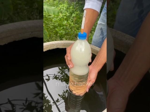 Smoking is very dangerous amazing experiment #experiment #project #science #smoke #viral #smoking