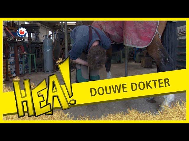 Douwe Dokter (Hoefsmid) | HEA!