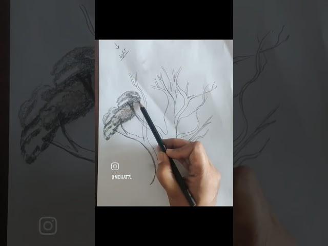 sketching tips #shortvideo #treesketching