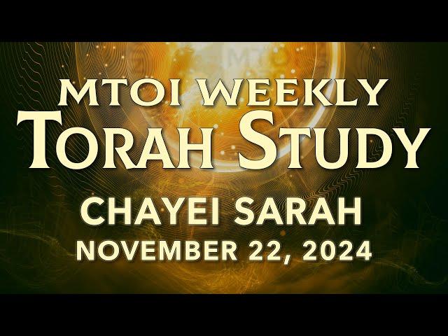 Torah Study 11/22/2024