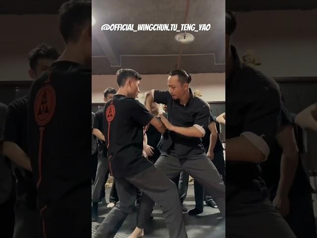 Mastering Wing Chun's Devastating Elbow Strikes: Unleashing Close-Range Power - Master Tu Tengyao