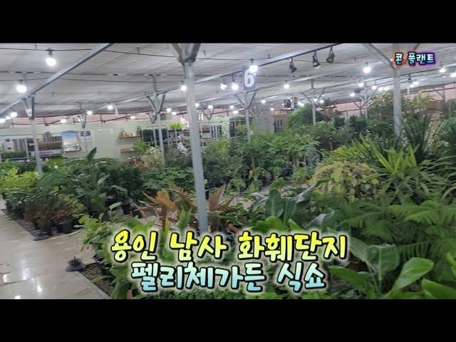 용인 남사화훼단지 펠리체가든 식쇼핑~