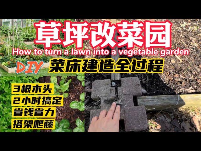 草坪改菜床】Turn a lawn into a vegetable garden /3天开垦2个新菜园！DIY全过程｜看我如何把草坪改菜園#做菜床