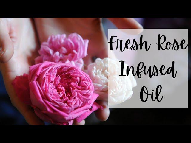 Making Fresh Rose Infused Oil