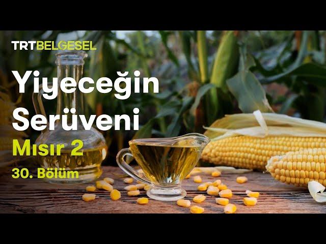 Yiyeceğin Serüveni | Mısır (2.Bölüm) | TRT Belgesel