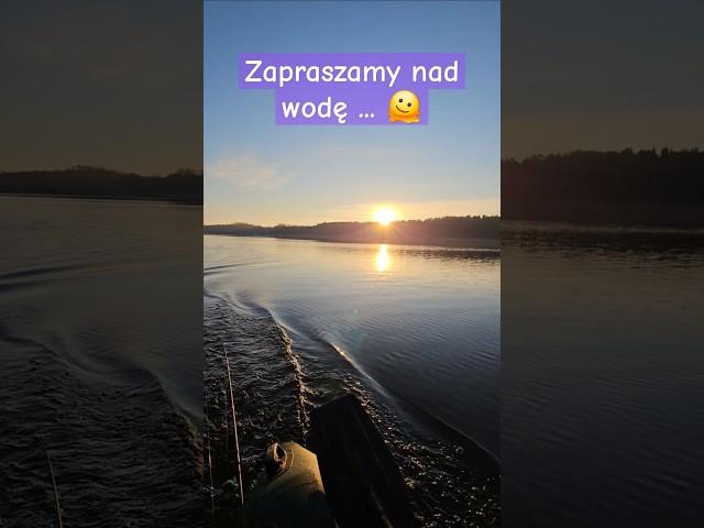 26.12.24 wędkujemy... #okonie #fishing #wędkowanie #relaks