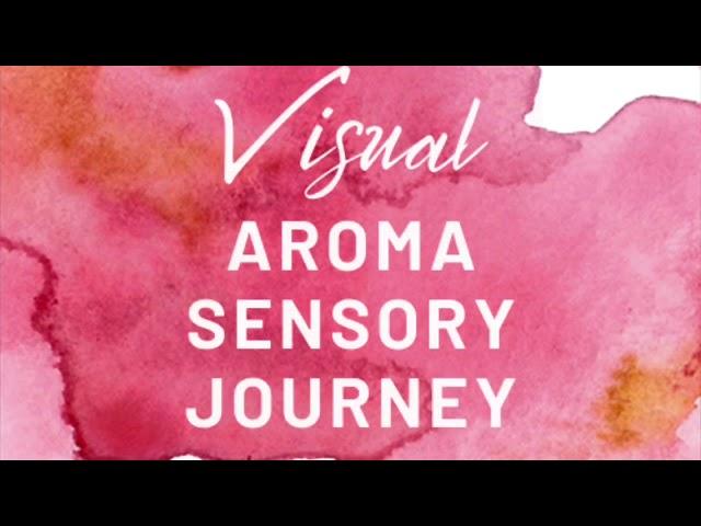 Low-Touch Moment of Wellness: Visual Aroma Sensory Journey (Aveda Variation)