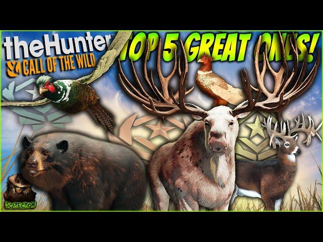 My Top 5 Most INSANE Great Ones Of 2024! (Moose Pheasant & More!) Call of the wild