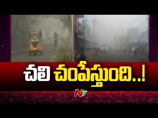 Cold Waves Alert: తెలుగు రాష్ట్రాలపై చలి పంజా | NTV