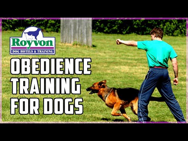 Royvon’s Obedience Training for Dogs