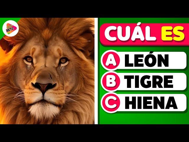 Adivina 40 ANIMALES  | ¿Cuánto Sabes de Animales?  |Trivia-Reto