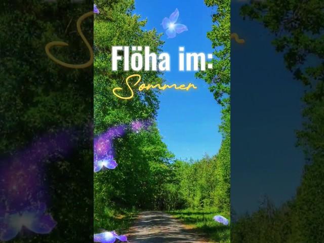 Flöha im Sommer 2023