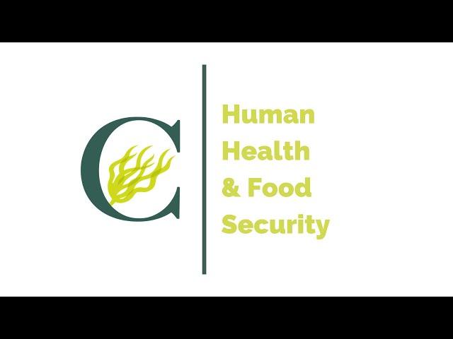 5 Whys - Human Health and Food Security