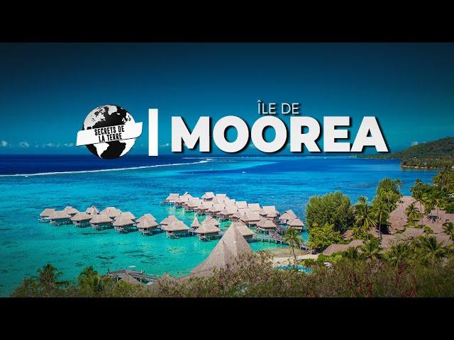 Documentaire Polynesie : Les secrets de Moorea