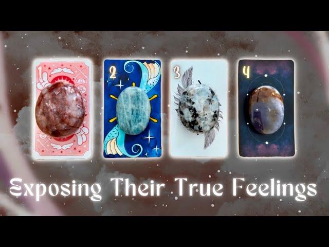 How They’re Currently Feeling About You️ Pick a Card Timeless In-Depth Love Tarot Reading