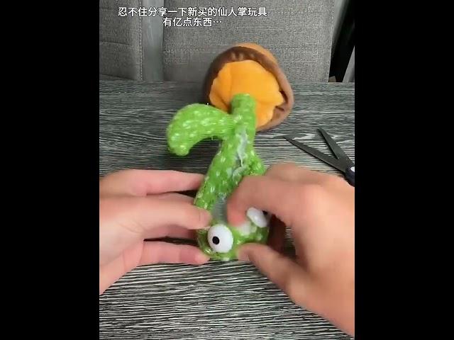 A cactus toy that can sing, dance, and repeat and record. Are you sure you don't want one? Try s