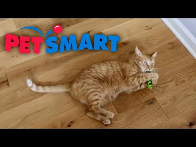 SPOILING KURT WITH PETSMART #Ad #PetSmartPartner #AnythingForPets