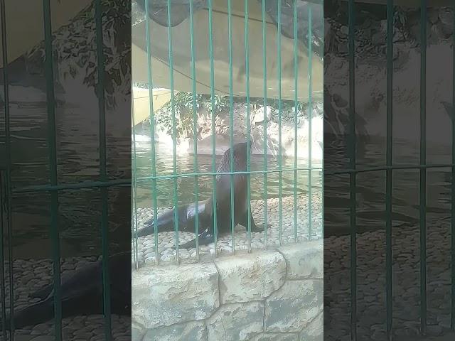 سبحان الله