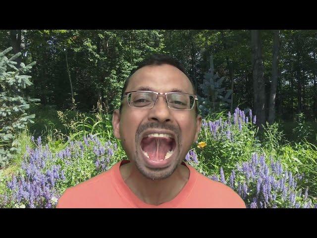 KYC4: Lesson 5: Talabya Kriya