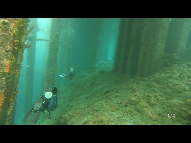 Diving around the Tugboat at Curacao (4K)