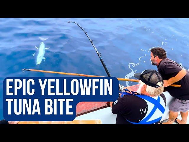 Fishing for Yellowfin Tuna? Here's What You Need to Know!