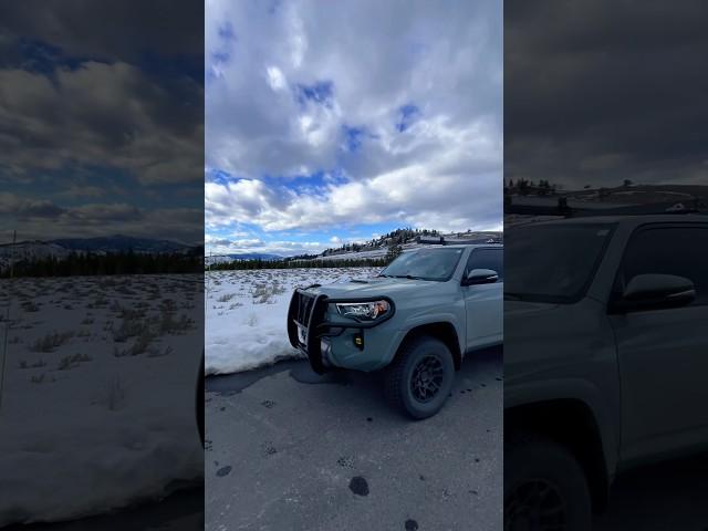 4Runner Tailgate In Yellowstone National Park, Wyoming